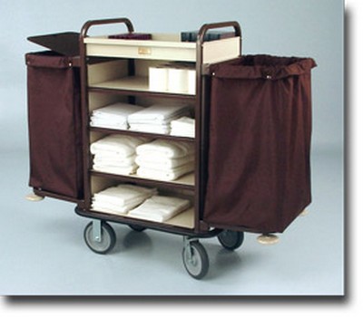 Replacement cart bags